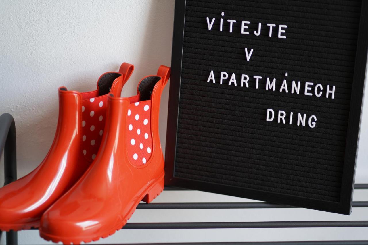 Apartmany Dring Vaclavov u Bruntalu Bagian luar foto